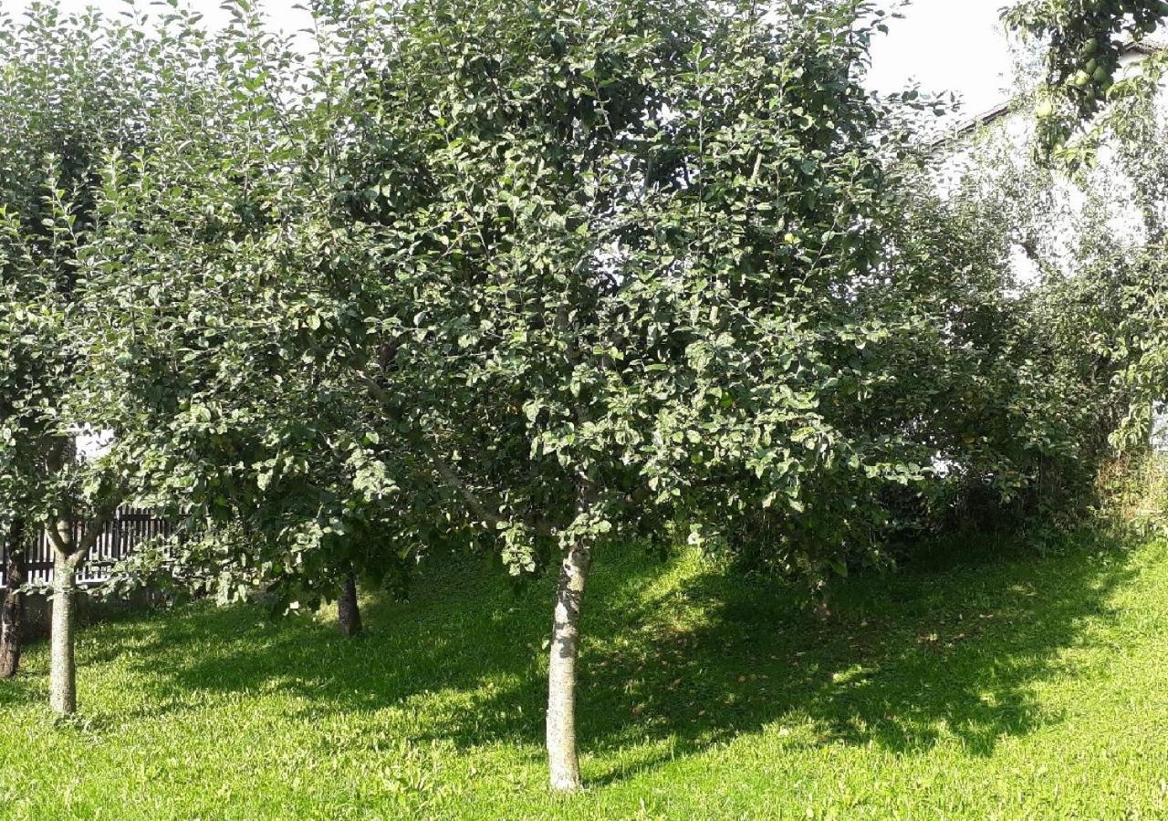Landhof Sedlmair Gilching Exterior foto